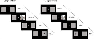 Approach–Avoidance pattern of attentional bias in individuals with high tendencies toward problematic Internet pornography use